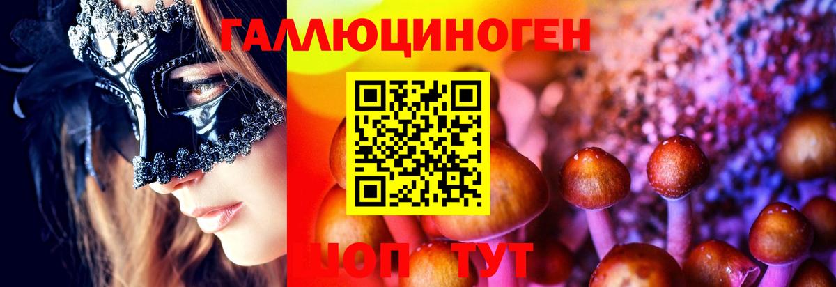 Псилоцибиновые грибы Psilocybine cubensis  Галлюциногенные грибы мицелий  Белгород 